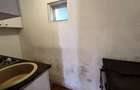 Casa Parter 43,40 mp + bucatarie anexa 13,40 mp - Parcul Carol - 14