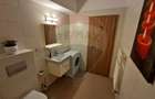 Apartament cu 2 camere si terasa de închiriat în zona Buna Ziua - 14
