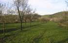 (307) Teren intravilan Calinesti – sat Carstieni, jud. Arges / Direct proprietar - 5