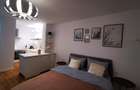 apartament 1 camera Bulevardul Take Ionescu / Medicina ! - 13