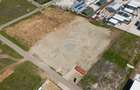 Teren 10.000 mp Domnești - Centura București - Betonare și împrejmuire - 2