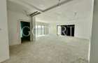 Penthouse exclusivist | Herastrau - 2