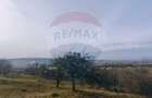 Teren intravilan generos 3.206 mp în Remecioara | Priveliște deosebită - 3