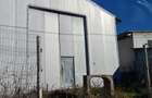 Sinesti -hala productie depozitare suprafata 1350 mp - 8
