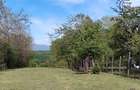 Teren zona montana in com.Turcinesti Jud.Gorj - 8
