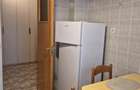 2 Camere Banu Manta / Victoriei / Titulescu - 9