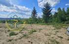 Teren 3.000 mp cu priveliște panoramică spre Munții Făgăraș - 9