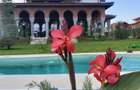 VILĂ DE PRESTIGIU IN LAGUNA ALBASTRĂ – CORBEANCA - 1
