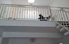 Penthouse 3 camere, 2 băi, 2 parcări, 91,2 mp, Giroc | 650 EUR - 8