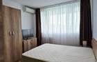 Lacul Tei-Parcul Circului, apartament 2 camere la intrarea in parc - 6
