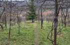ROPRIETATE EXCLUSIVĂ DE VÂNZARE  – ZONĂ CENTRALĂ CUGIR - 3