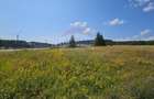Teren parțial intravilan 30,930 mp Poiana Stampei-DN E58, Suceava - 15