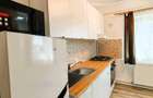 Apartament de închiriat, 1 cameră, 36 mp, Plopilor zona Parc Iuliu Hațieganu - 16