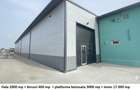 Hala + Cladire birouri + teren 17000mp + 3000 beton, toate utilitatile - 2