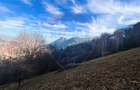 Teren Colinar Panoramic – 17.684 mp în Scheii Brașovului - 1