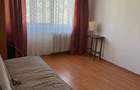 Apartament de inchiriat 3 camere Raul Doamnei New 2026 - 3