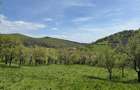 TEREN INTRAVILAN 8330 MP, INURI, VINTU DE JOS - 7