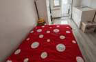 Apartament 3 Camere Decomandat Complex Studentesc Parvan - 3