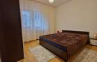 Apartament 3 camere langa Parcul Circului - 21