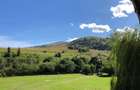 Cabana de închiriat/vanzare  - 6