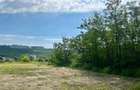 Teren intravilan 522 mp, Platoul Beldiman Rediu, deschidere la 2 străzi, 63.000e - 5