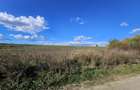 Teren intravilan Balotesti / 5.000 mp / D: 18 m / langa lac / comision 0% - 6