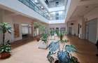 IDEAL INVESTITIE - SPATII DE BIROURI - IDEAL PENTRU INCHIRIERE - 13