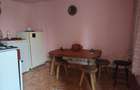 Proprietate de vacanta Valea Oltului - BREZOI - 16