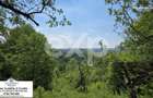 OPORTUNITATE INVESTIȚIE TURISTICĂ | Panoramă de Vis & Potențial Imens A-Frame - 1
