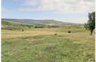 Teren Sercaia  250 ha - 4