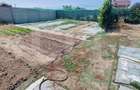 Teren extravilan, 196mp, deschidere 14ml, zona Cerenele - 3