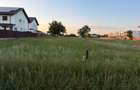 Teren intravilan 1.500 mp de vânzare – Strada Castanului, Tunari - 7