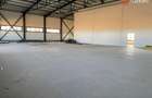 Hala industriala 600 mp, curte 1398 mp, parcare, toate utilitatile - Ghiroda - 7