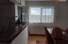 Apartament cu 2 camere de vanzare in Remetea Mare - 4
