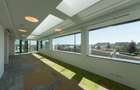 Vila Capo | Luxury offices 1800 mp | Dorobanti Capitale - 11