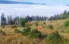 Teren extravilan, 50.000 mp, zona Vatra Dornei