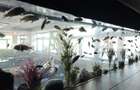 Cladire Comerciala Premium | Splaiul Independentei | Investitie | Horeca - 14