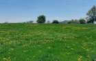 Teren Campina platoul Muscel - 2