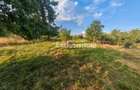 Teren intravilan 1.600 mp Mioveni – Zona Pruni - 7