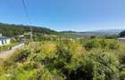 TEREN 990MP,VALEA JELNII - 2