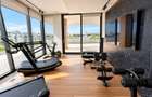 Penthouse spectaculos Nordului - 6