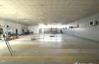 Depozit 600mp 2 rampe + birouri 180mp, 14 parcari, Lidl - Baciu - 2