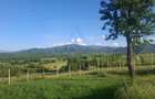 Teren 809 mp intravilan zonă în plină dezvoltare în Tropinii Noi - 3