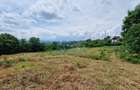 Teren 500 mp | Posibil extindere | Baia Sprie | Comision 0! - 3