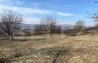 Livadă de nuci – 2 ha | Acces DN17 | Investiție profitabilă - Cristur - 3