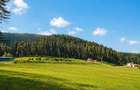 Incantator parc privat, 1.500mp: casa/ pensiune/ refugiu montan, Sacele, Brasov - 2