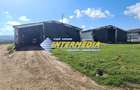 Ferma de vanzare in apropiere de Alba Iulia - 8