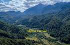Teren superb in Rasnov Glajerie retras si intim - 5