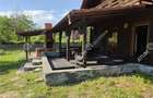 Cabana de vanzare pe Valea Avrigului - 7
