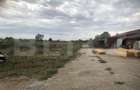De vanzare/schimb - ferma ,15.000 mp, zona Mărtinești - 9